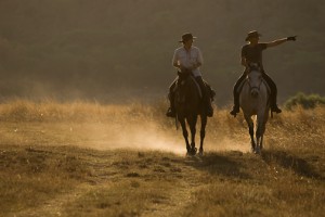 Paardrijden in Zuid-Afrika
