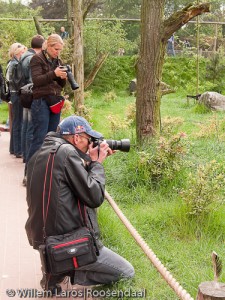 Volop fotograferen in Safaripark Beekse Bergen