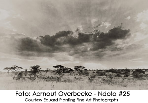 Aernout-Overbeeke---Ndoto-#25---Courtesy-Eduard-Planting-Fine-Art-Photographs