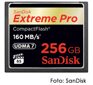 SanDisk256GB