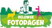 logo_VFD
