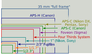 Het grootteverschil tussen de diverse sensorformaten. Bron: Wikimedia Commons