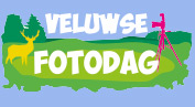 LOGO-VeluwseFotodagen-2016-web