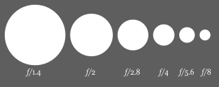 Een diafragmawaarde heeft betrekking op de diameter van de diafragmaopening, terwijl de oppervlakte bepalend is voor de doorgelaten hoeveelheid licht. Daarom laat F4 tweemaal zo veel licht door als F 5,6. Illustratie: Chris Buckley, Wikimedia Commons